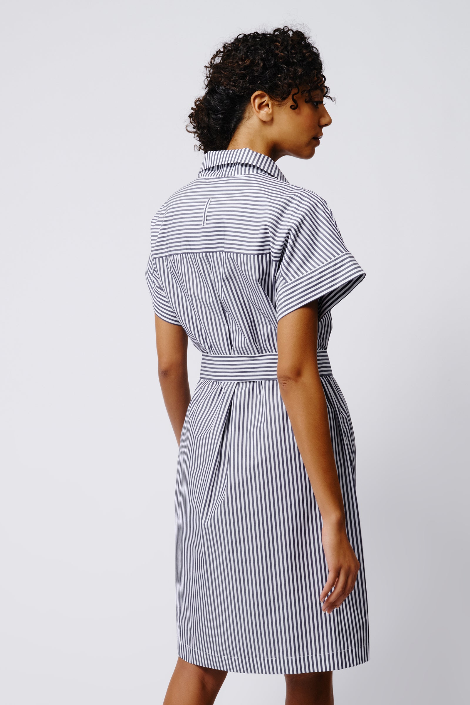 Kal Rieman Ava Yoke Kimono Dress in Indigo Stripe on Model Back View Crop